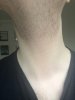 image1.jpeg