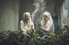 marajuana nuns.jpeg