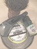 SOTD 3-19-18.JPG