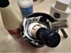 sotd 3.24.2018.jpg