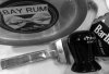 SOTD 4-9-18.JPG