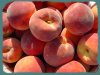 Peaches.jpg