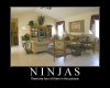 Ninjas_there_are_four_in_this_picture.jpg