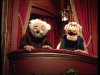 Old Guy Muppets.jpg