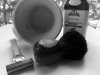 SOTD 5-7-18.JPG