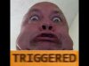 triggered 2.jpg