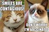 Grumpy-Cat-And-Smiling.jpg