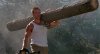 arnold-tree-trunk[1].jpg