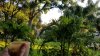 rps20180627_074047.jpg