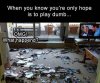 2C53F614-25E5-4E22-9B88-55EBD7BD7AB2.jpeg