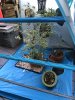 CCA98A1D-EE90-44E9-BFAC-17861BED2333.jpeg