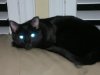 DSCN1281.jpg