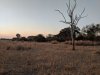 IMG_20180714_170611.jpg