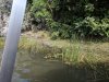 IMG_20180715_093515.jpg