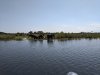 IMG_20180715_103720.jpg