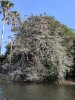 IMG_20180715_093235.jpg