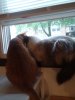 20180515_175012.jpg