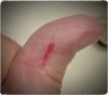 SOTD_073118_thumb.jpg
