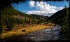 Shoshone1.jpg