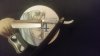 rps20180823_235807_872.jpg
