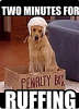 HOCKEY pun.png