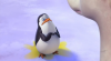 72292_1381580929086_full.png