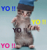 yo2.gif