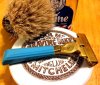 SOTD 5-4-18.JPG