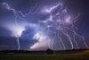 sheep lightning.jpg