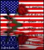 A933A5F5-5A1F-49B9-814B-6CDFE4DE8775.gif