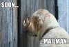 waiting6.jpg