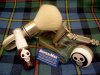 SDC12993.JPG