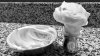IMG_8081.jpeg