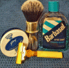 SOTD 11132018.gif