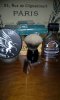 20181120_205149.jpg