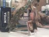 IMG_20110429_091648.jpg