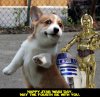 may4th.jpg