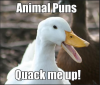 Pun duck.png