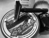 SOTD 12-9-18.JPG