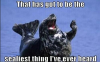 PUN seal.png