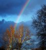 Rainbow.jpg