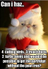 cat rich christmas .png