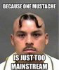 two mustaches.jpg