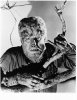 001-the-wolf-man-theredlist.jpg