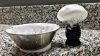 IMG_9065.jpeg