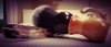 SOTD_010619.jpg