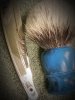 SOTD_010819.jpg