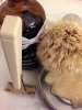 SOTD 1-9-19.JPG