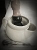 SOTD_011019.jpg