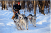 dohusky.png